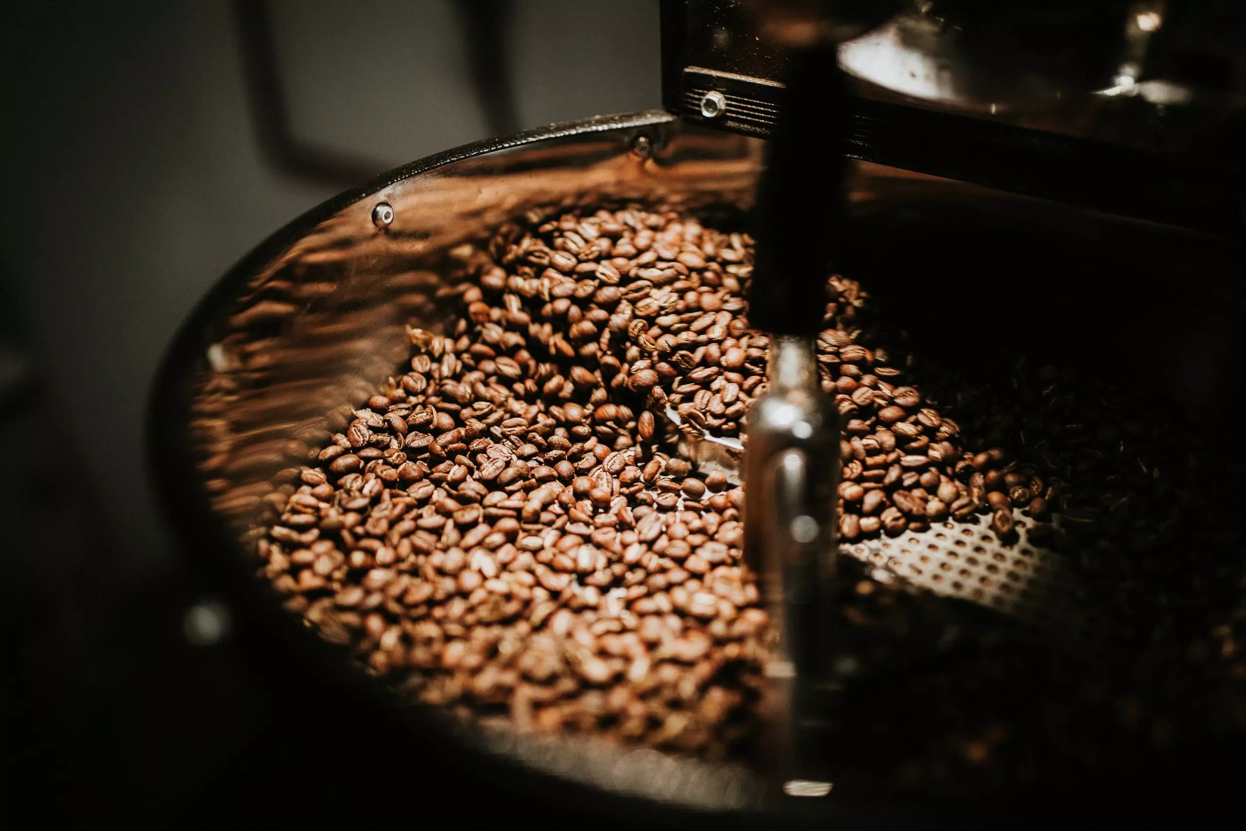 Saiba qual é a origem do café e qual o caminho que fez para chegar até o Brasil